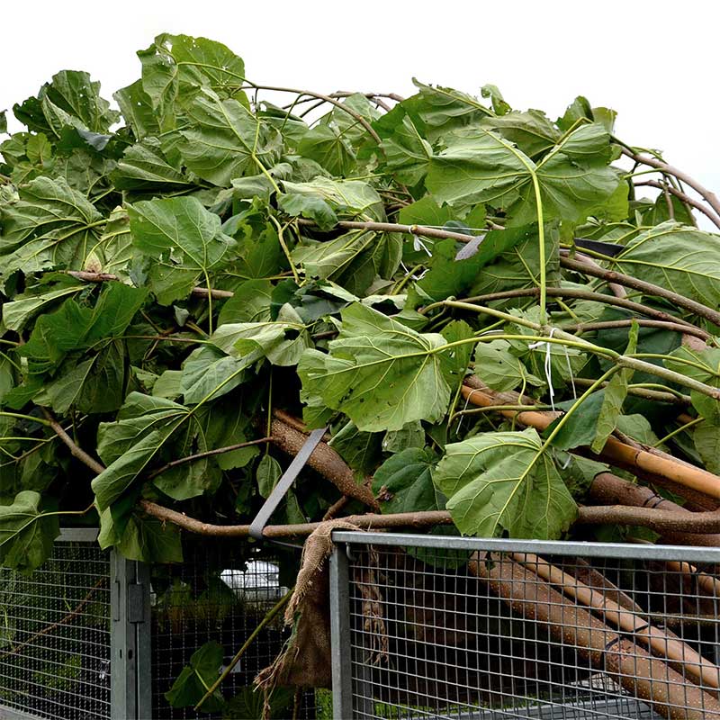 حزام سقاطة بمقبض مطاطي مقاس 1 × 15 بوصة مع خطافات سلكية مطلية بالفينيل